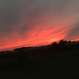 Meet your Posher, Katy